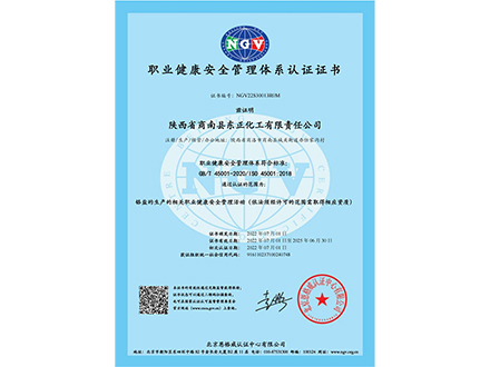 职业健康安全管理体系